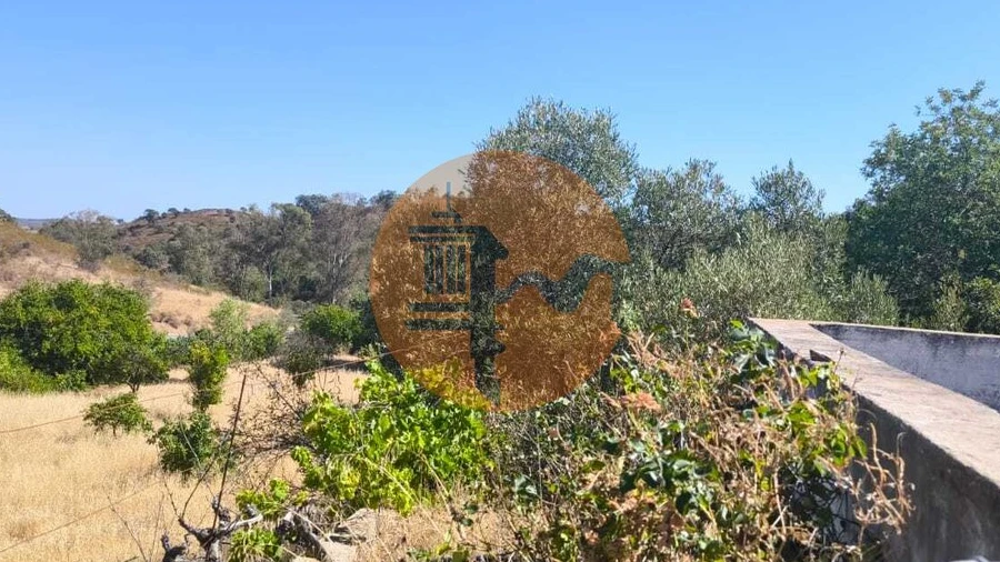 Terreno para Venda em Odeleite