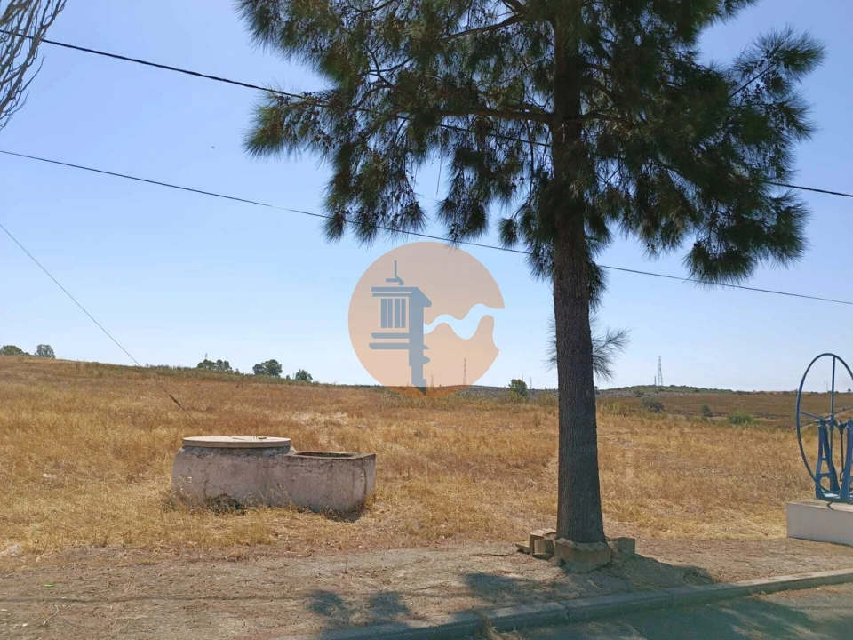 Terreno para Venda em Alcoutim e Pereiro Foto 6