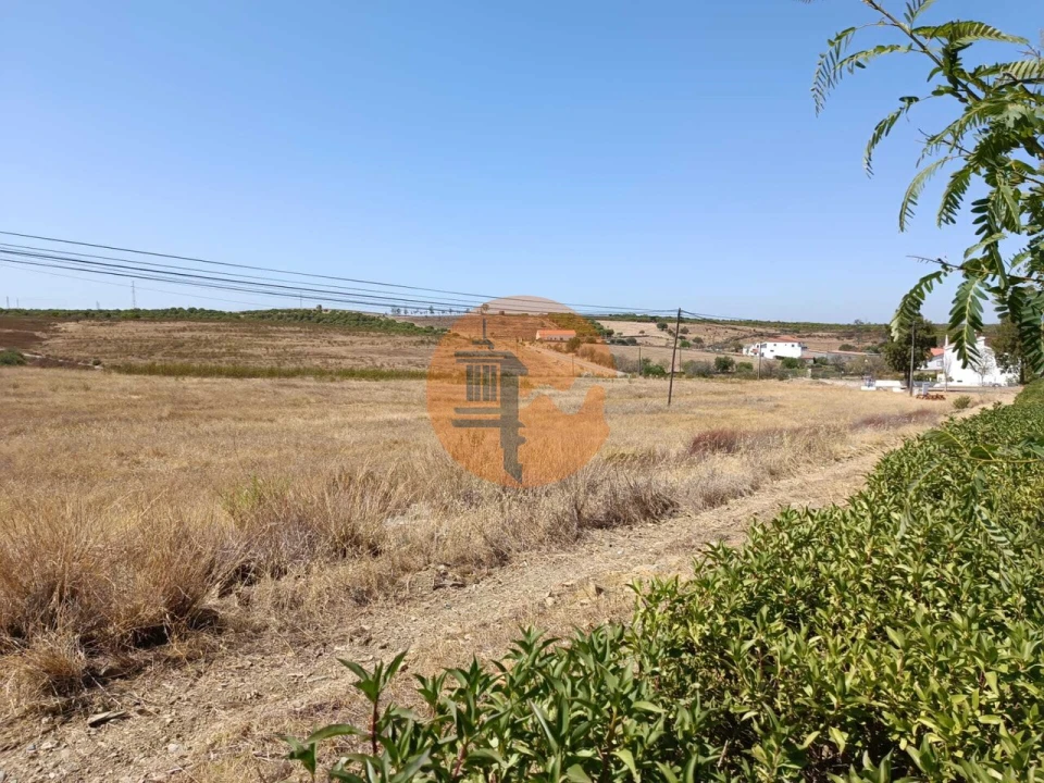 Terreno para Venda em Alcoutim e Pereiro Foto 15