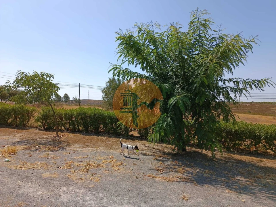 Terreno para Venda em Alcoutim e Pereiro Foto 22