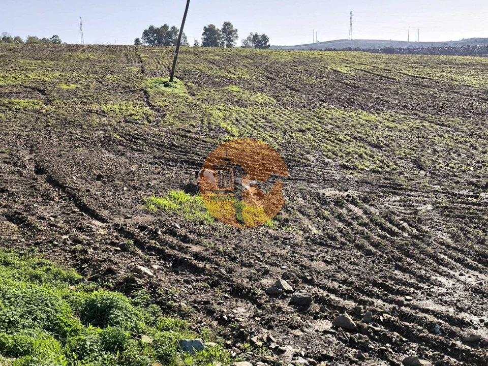 Terreno para Venda em Alcoutim e Pereiro Foto 42
