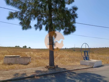 Terreno para Venda em Alcoutim e Pereiro