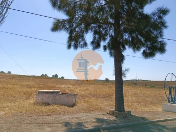 Terreno para Venda em Alcoutim e Pereiro