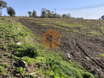 Terreno para Venda em Alcoutim e Pereiro