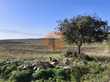Terreno para Venda em Alcoutim e Pereiro