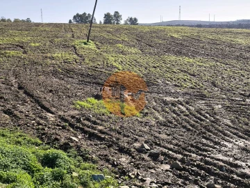 Terreno para Venda em Alcoutim e Pereiro