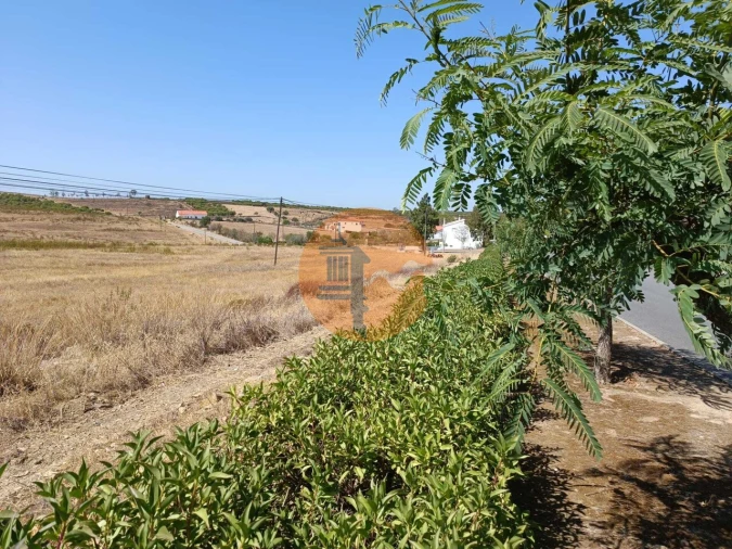 Terreno para Venda em Alcoutim e Pereiro Foto 17