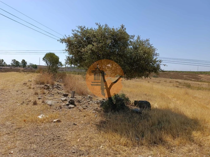 Terreno para Venda em Alcoutim e Pereiro Foto 28
