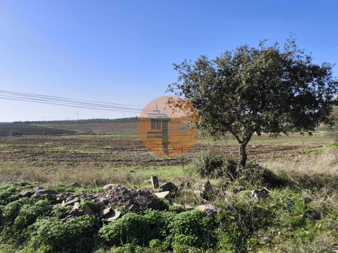 Terreno para Venda em Alcoutim e Pereiro Foto 41