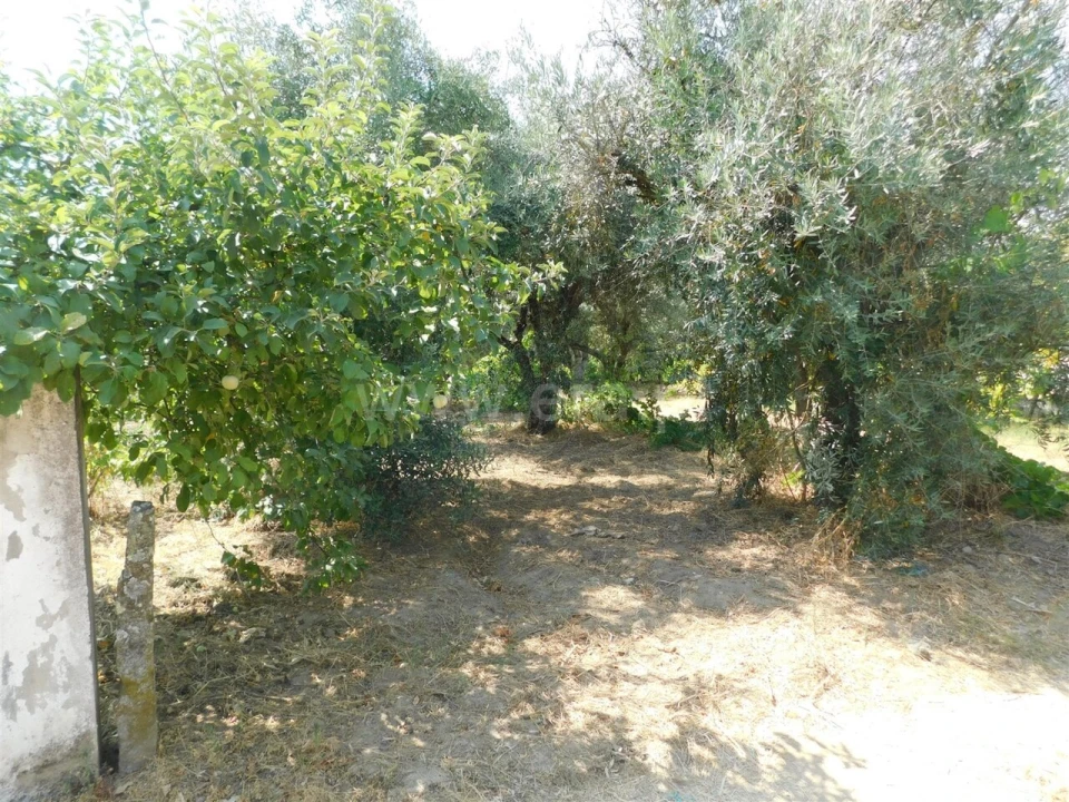 Terreno para Venda em Fundão, Valverde, Donas, A. Joanes, A. Nova Cabo Foto 10