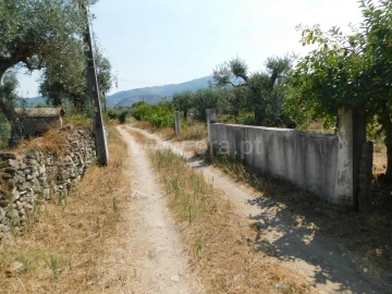 Terreno para Venda em Fundão, Valverde, Donas, A. Joanes, A. Nova Cabo