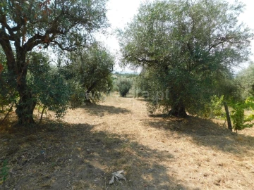 Terreno para Venda em Fundão, Valverde, Donas, A. Joanes, A. Nova Cabo