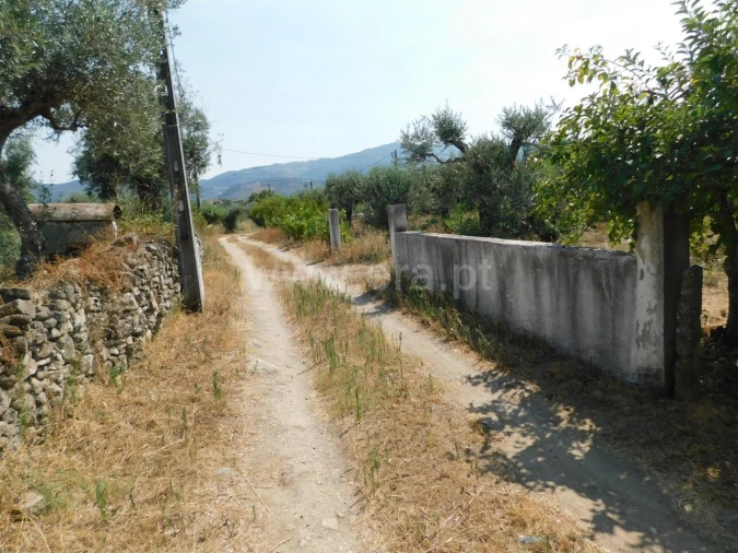 Terreno para Venda em Fundão, Valverde, Donas, A. Joanes, A. Nova Cabo Foto 9