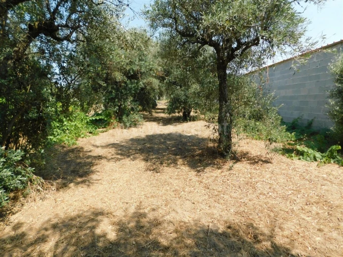 Terreno para Venda em Fundão, Valverde, Donas, A. Joanes, A. Nova Cabo Foto 5