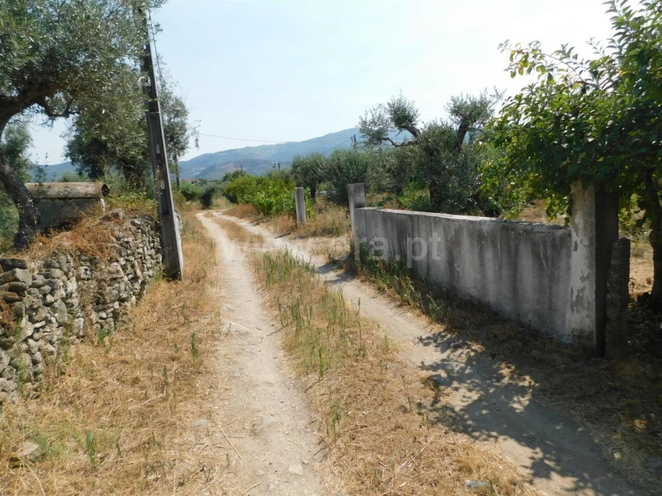 Terreno para Venda em Fundão, Valverde, Donas, A. Joanes, A. Nova Cabo Foto 9
