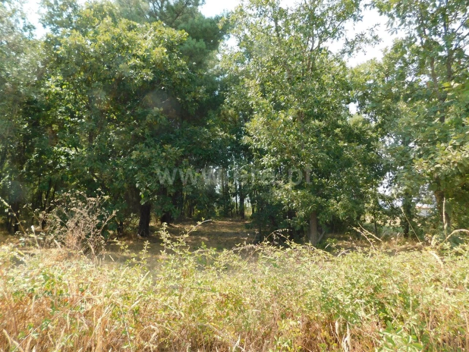 Terreno para Venda em Fundão, Valverde, Donas, A. Joanes, A. Nova Cabo Foto 2