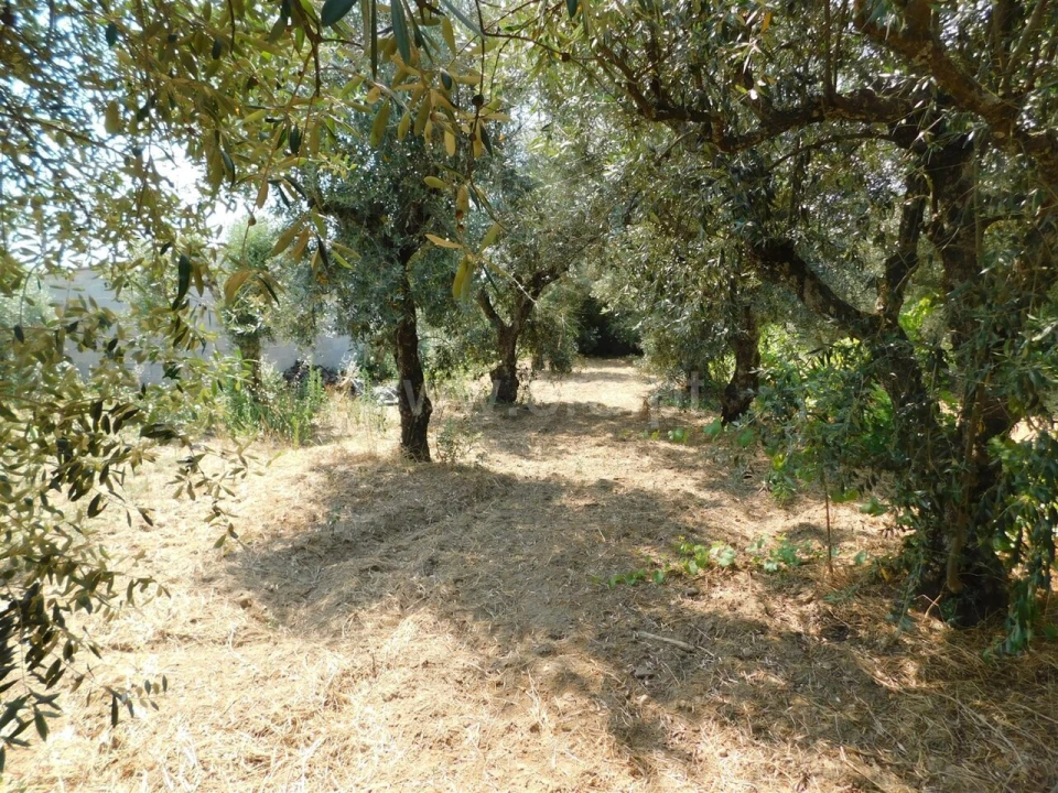 Terreno para Venda em Fundão, Valverde, Donas, A. Joanes, A. Nova Cabo Foto 4