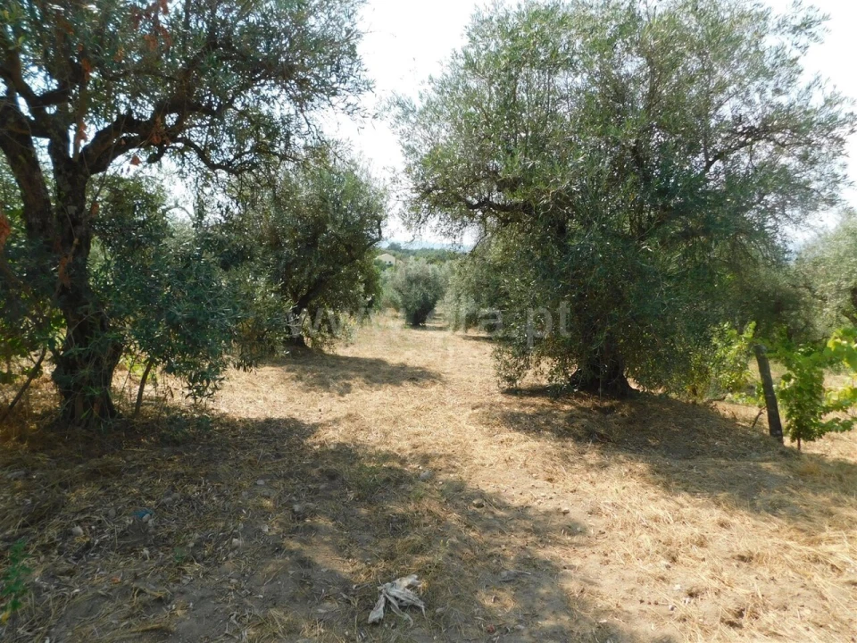Terreno para Venda em Fundão, Valverde, Donas, A. Joanes, A. Nova Cabo Foto 7