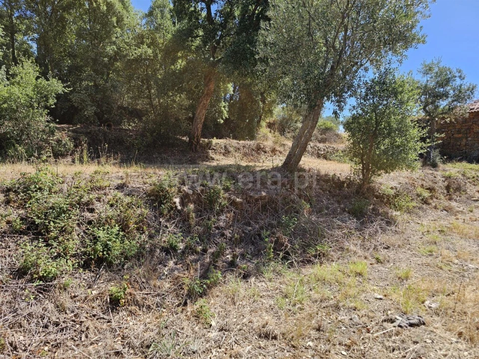 Terreno para Venda em Telhado Foto 3