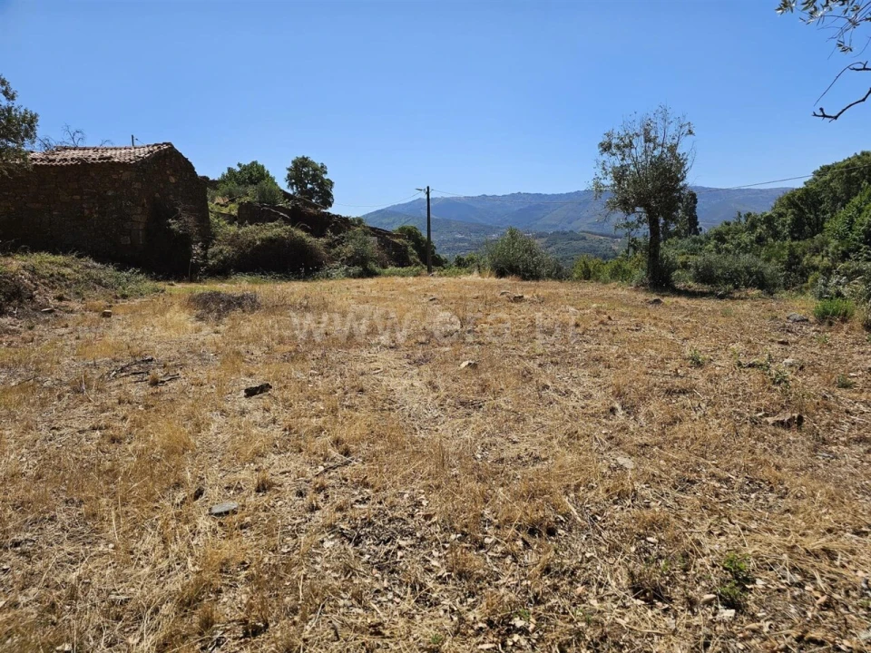 Terreno para Venda em Telhado Foto 5