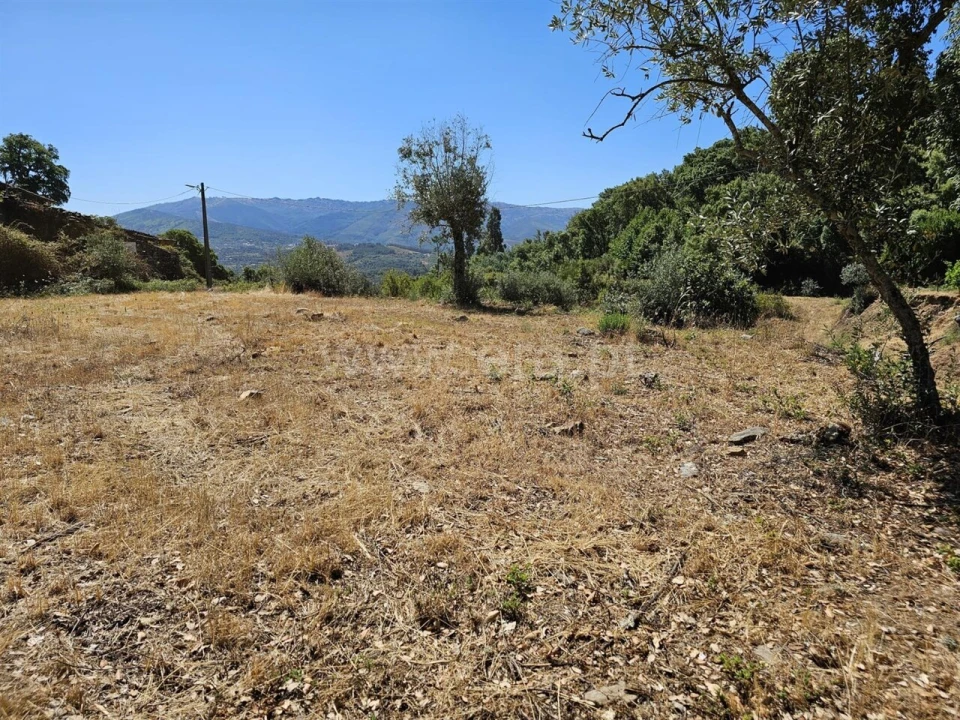 Terreno para Venda em Telhado Foto 7