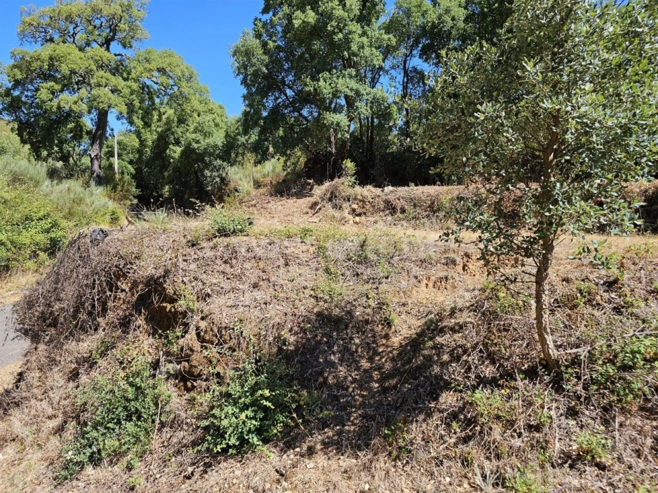Terreno para Venda em Telhado Foto 4