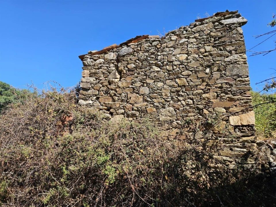 Moradia T1 para Venda em Telhado Foto 3
