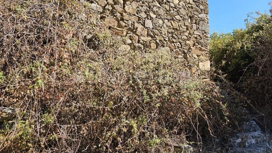 Moradia T1 para Venda em Telhado