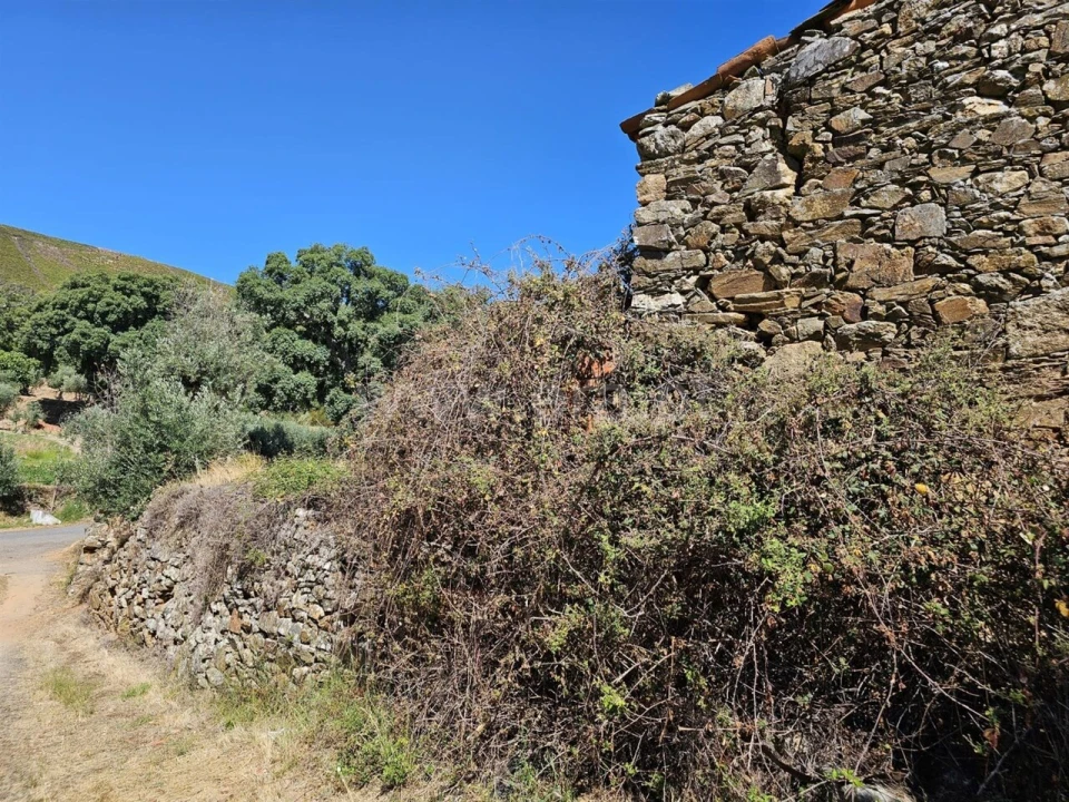 Moradia T1 para Venda em Telhado Foto 2