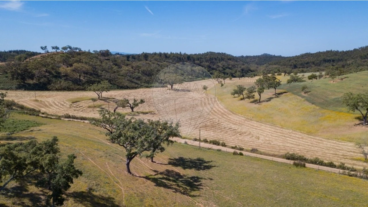 Quinta T0 para Venda em Reliquias Foto 4