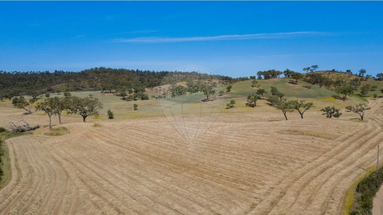 Quinta T0 para Venda em Reliquias Foto 2