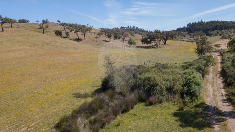 Quinta T0 para Venda em Reliquias Foto 15