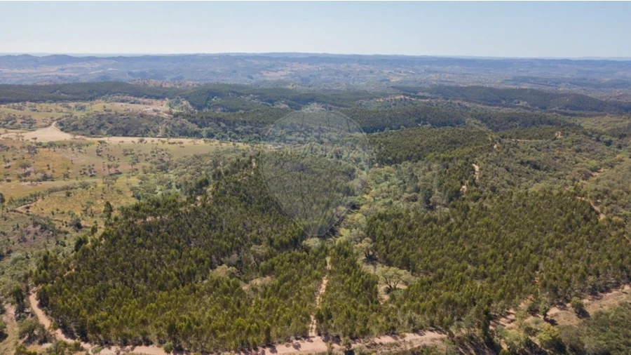 Quinta T0 para Venda em Reliquias Foto 22