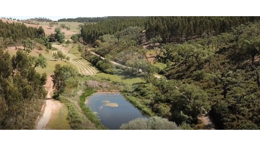 Quinta T0 para Venda em Reliquias Foto 6