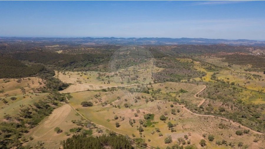 Quinta T0 para Venda em Reliquias Foto 10