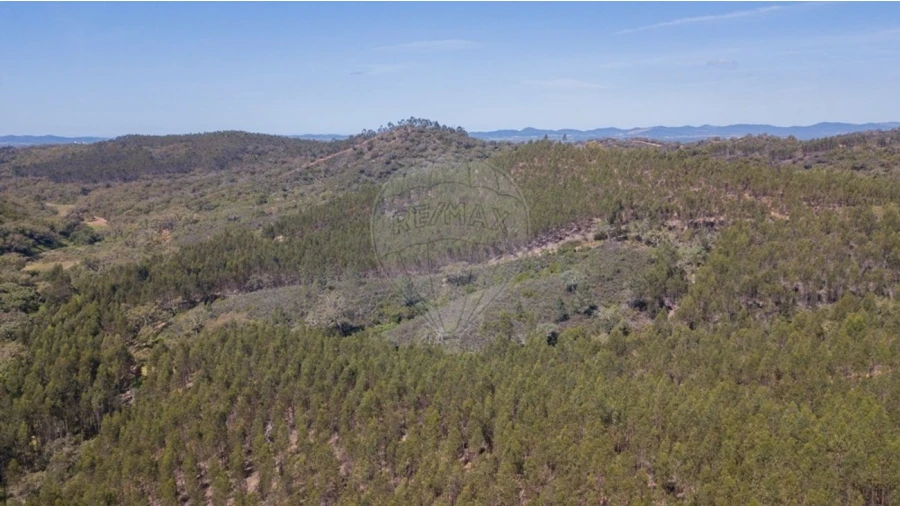 Quinta T0 para Venda em Reliquias Foto 28