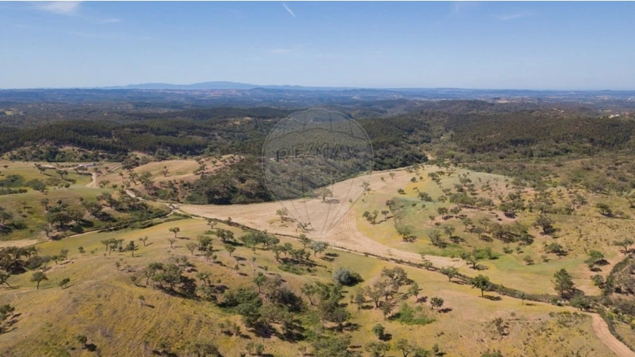 Quinta T0 para Venda em Reliquias Foto 14