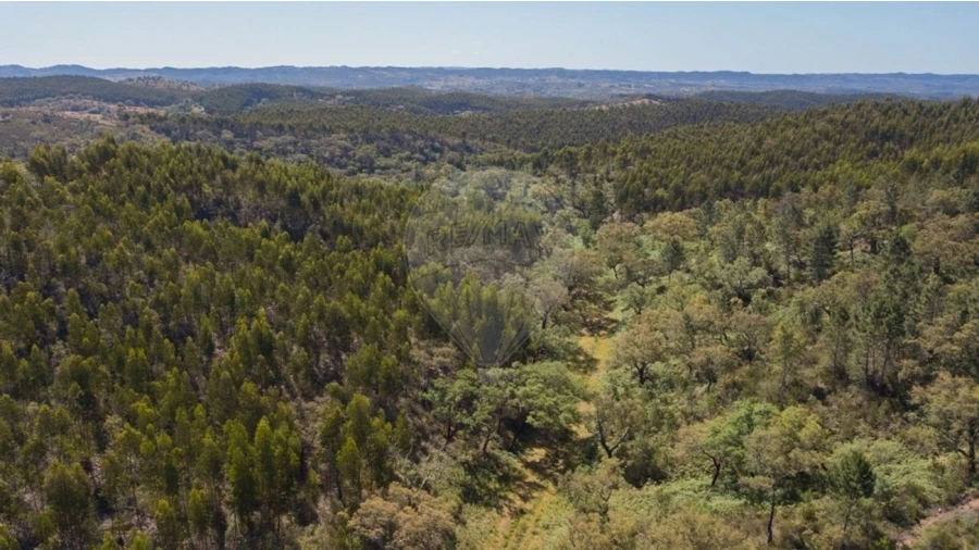 Quinta T0 para Venda em Reliquias Foto 24