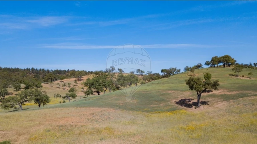 Quinta T0 para Venda em Reliquias Foto 17