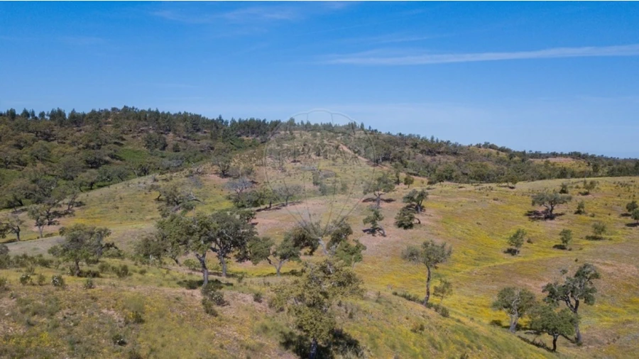 Quinta T0 para Venda em Reliquias Foto 18