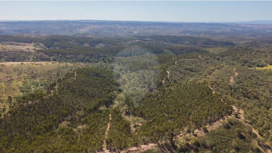 Quinta T0 para Venda em Reliquias Foto 3