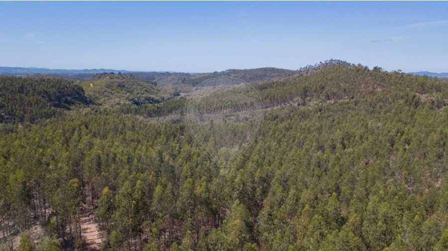 Quinta T0 para Venda em Reliquias Foto 27