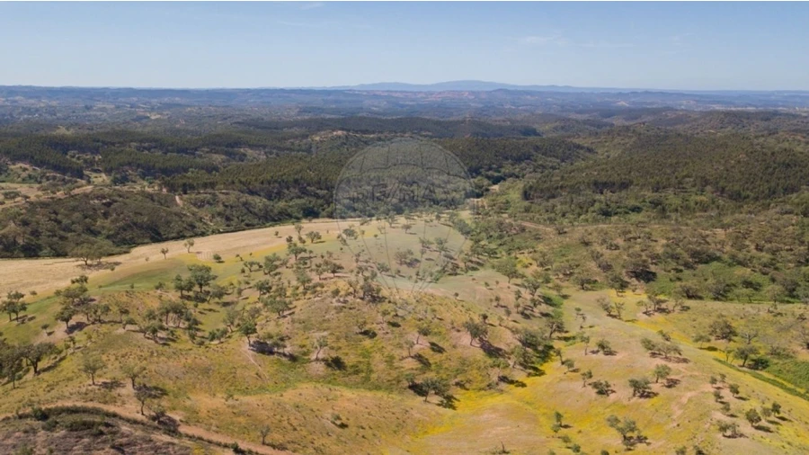 Quinta T0 para Venda em Reliquias Foto 19