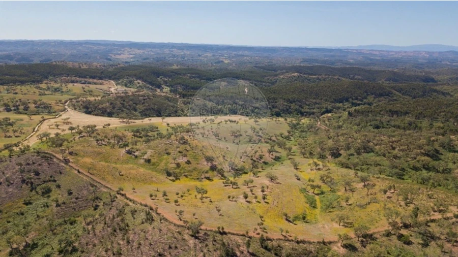 Quinta T0 para Venda em Reliquias Foto 20