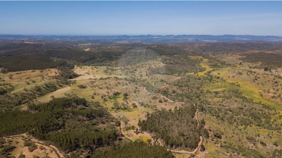 Quinta T0 para Venda em Reliquias Foto 11