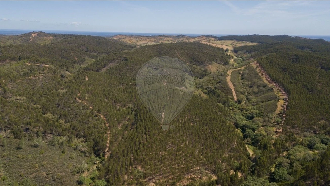 Quinta T0 para Venda em Reliquias Foto 29