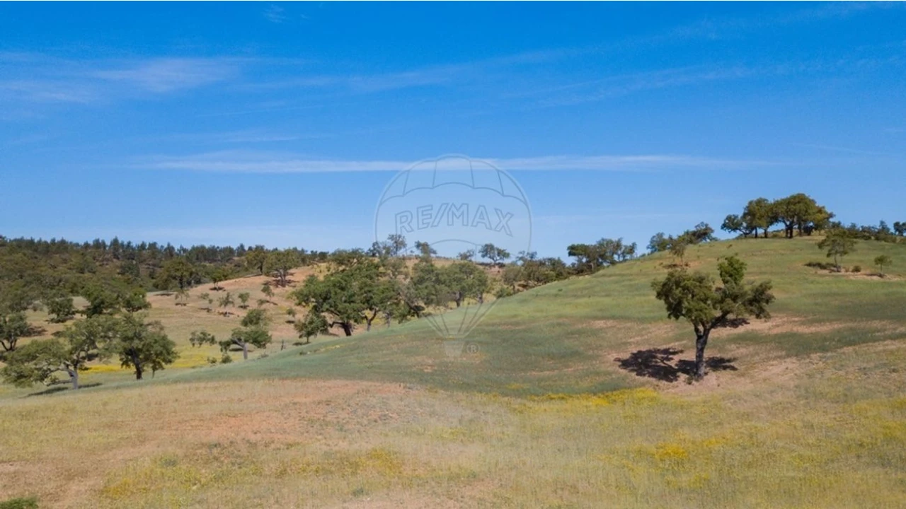 Quinta T0 para Venda em Reliquias Foto 17