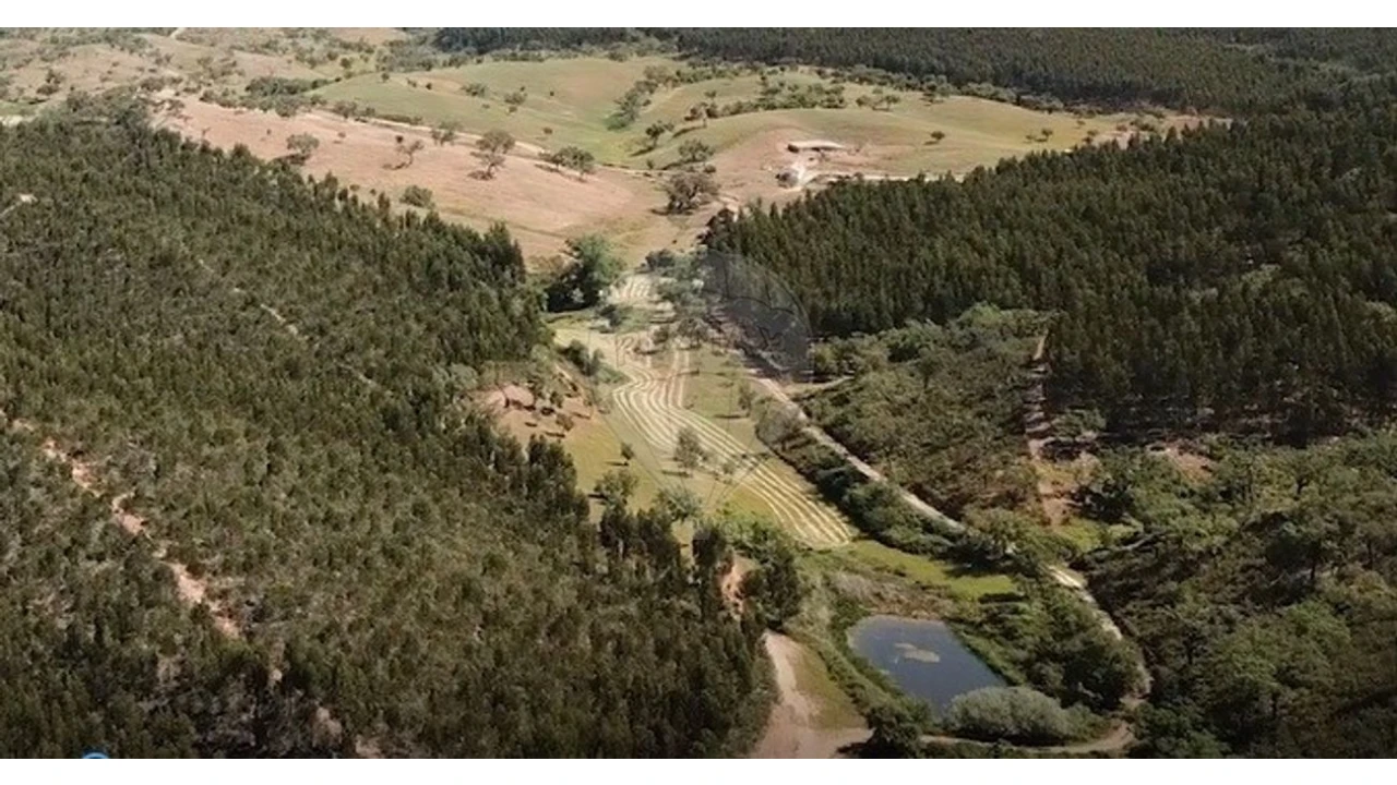 Quinta T0 para Venda em Reliquias Foto 5