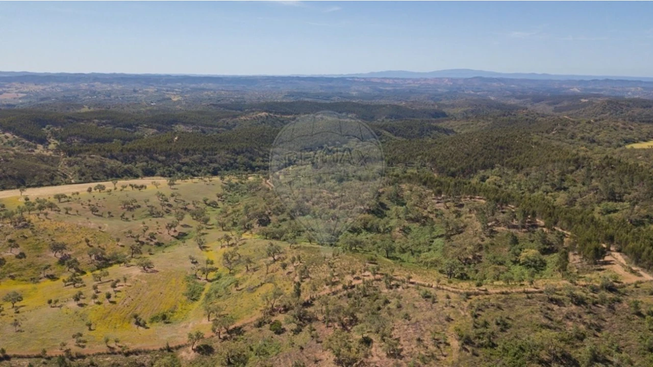 Quinta T0 para Venda em Reliquias Foto 21