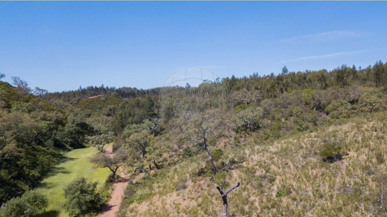 Quinta T0 para Venda em Reliquias Foto 25